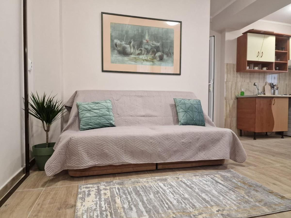 Laroka House Beautiful Apartment Universitate Center Bukareszt Zewnętrze zdjęcie